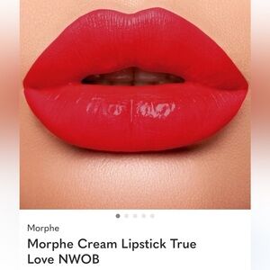 Morphe True Love Cream Lipstick - new no box very hard